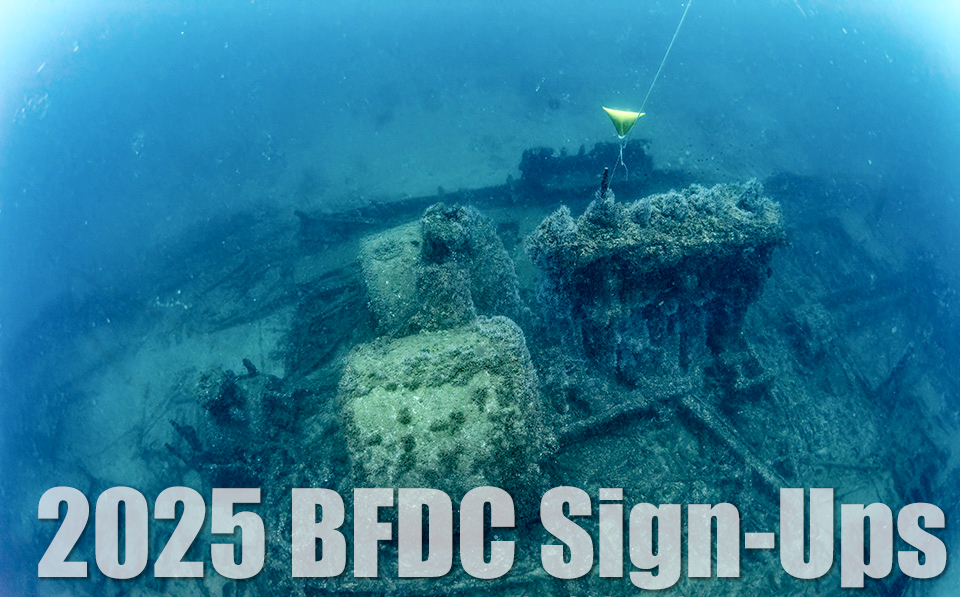 BFDC SIGNUPS